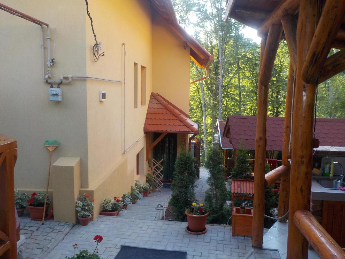 فندق Casa Dora سوفاتا المظهر الخارجي الصورة